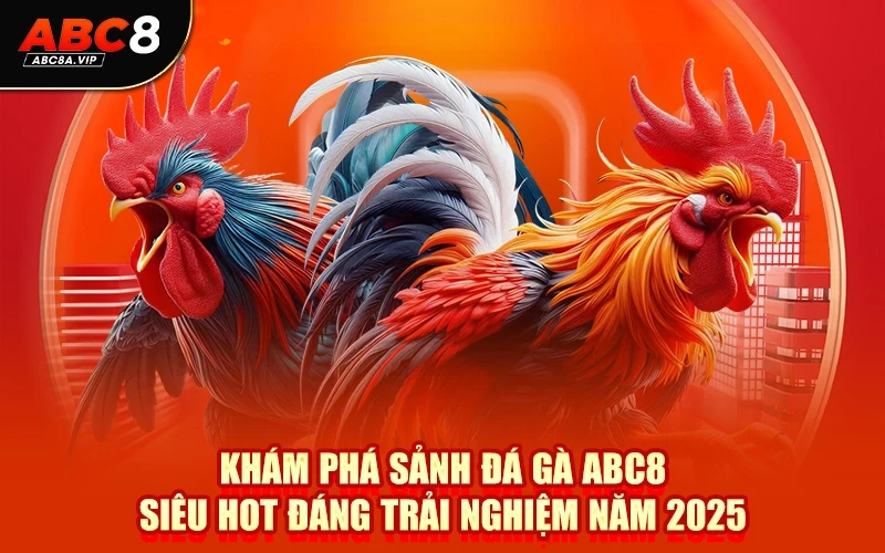 Khám phá sảnh đá gà ABC8 siêu hot đáng trải nghiệm năm 2025