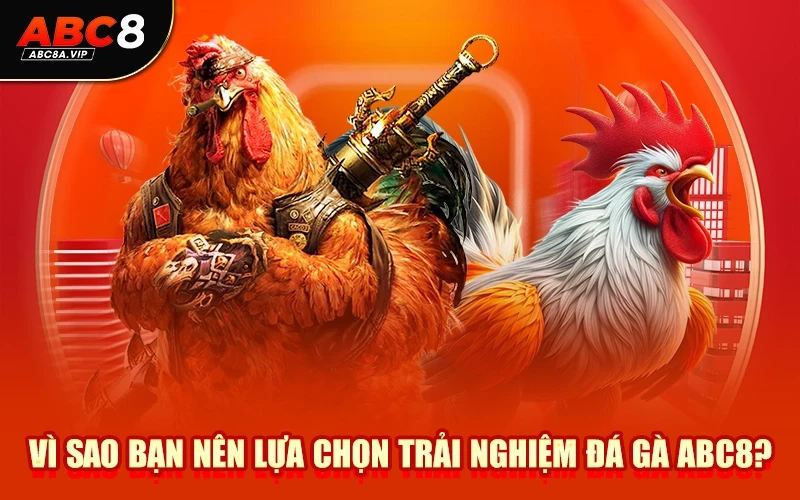 Vì sao bạn nên lựa chọn trải nghiệm đá gà ABC8?