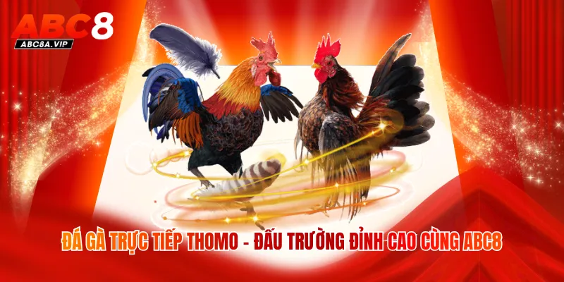 Đá Gà Trực Tiếp Thomo - Đấu Trường Đỉnh Cao Cùng ABC8