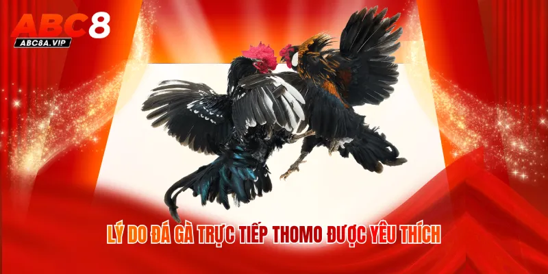 Lý do đá gà trực tiếp Thomo được yêu thích