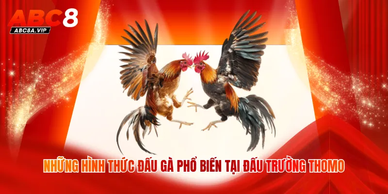 Những hình thức đấu gà phổ biến tại đấu trường Thomo